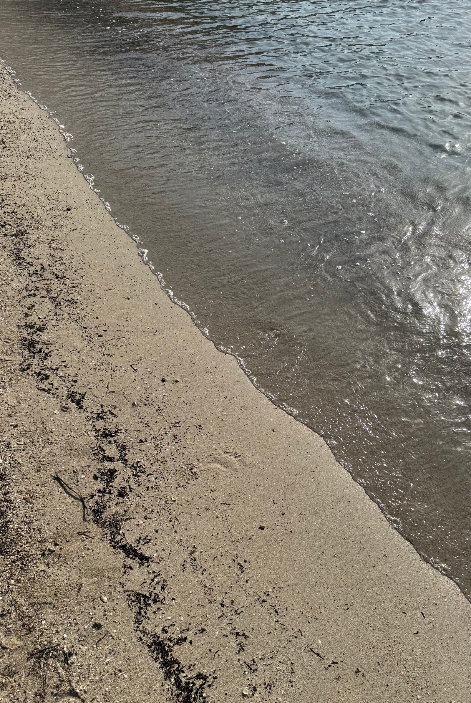 Soul Q&A Reading for Couples