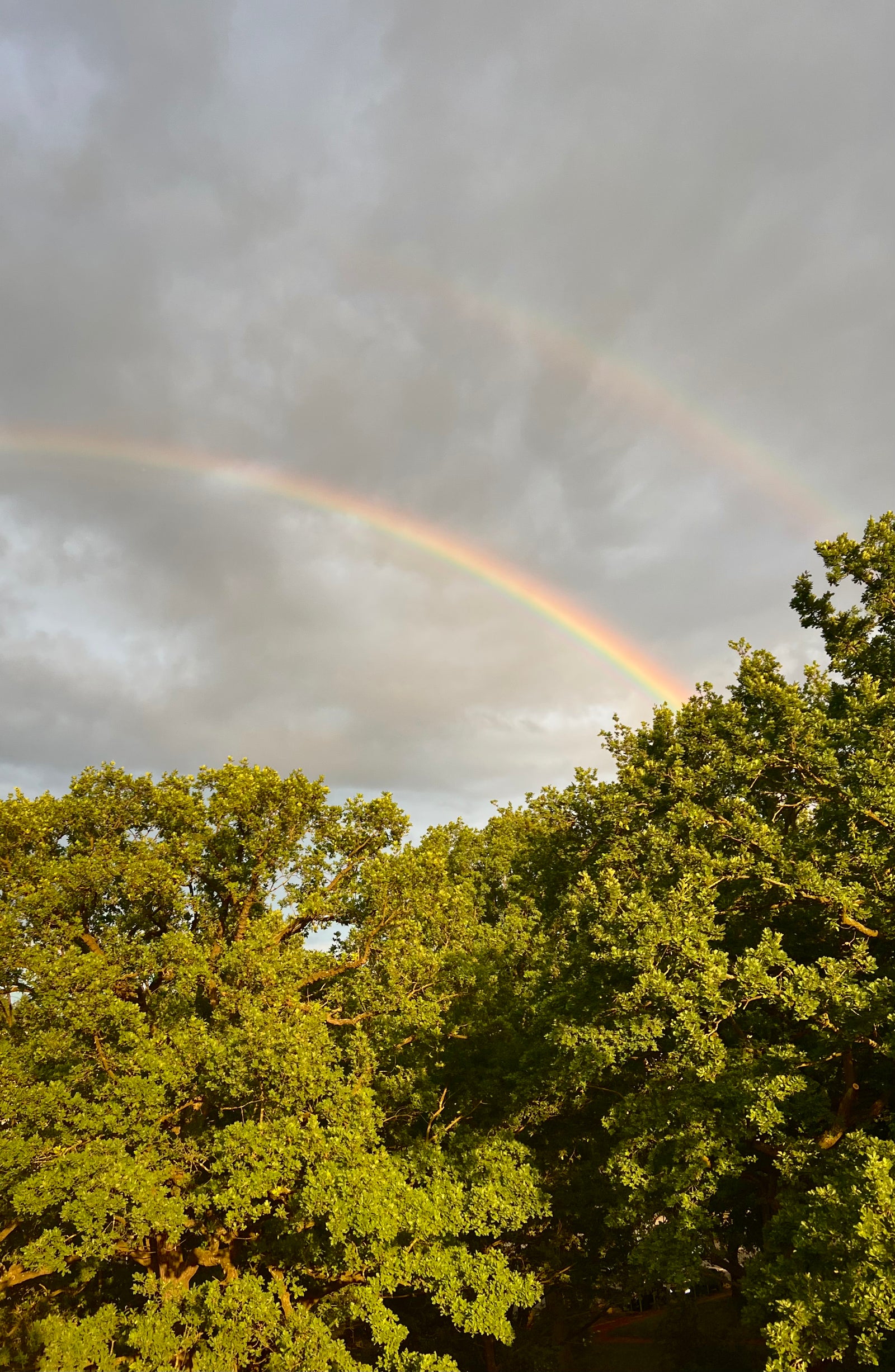 YOU ARE MAGIC. Gutschein